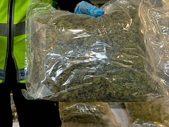 600,000 euro worth of Cannabis...